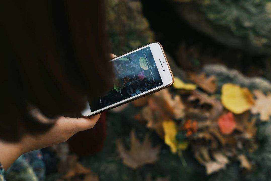 Case study tourism